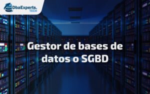 Gestor de bases de datos o SGBD