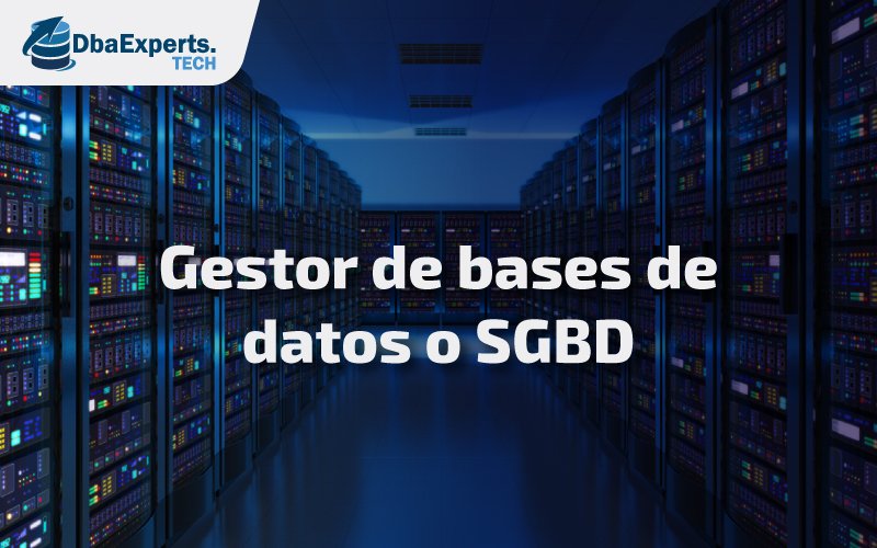 Gestor de bases de datos o SGBD